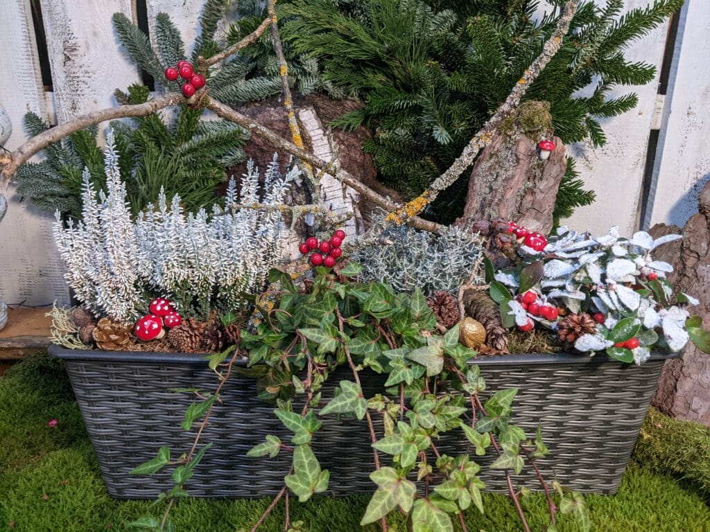 Winterlicher Blumenkasten