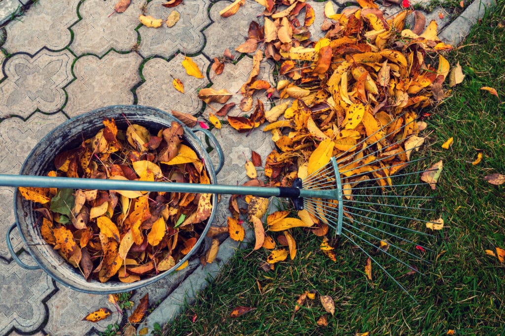 Der Garten im Oktober - Laub für Igel liegen lassen