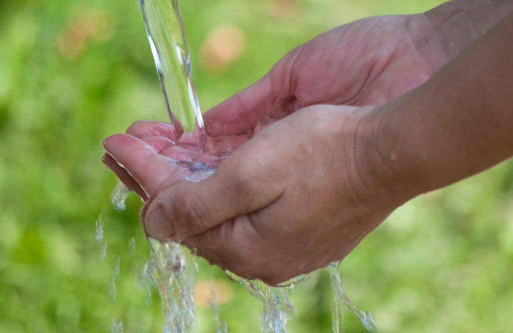 Wasser - Das Lebenselixier